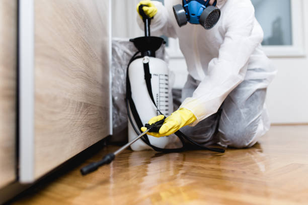 Best Affordable Pest Control Services  in Haslett, MI