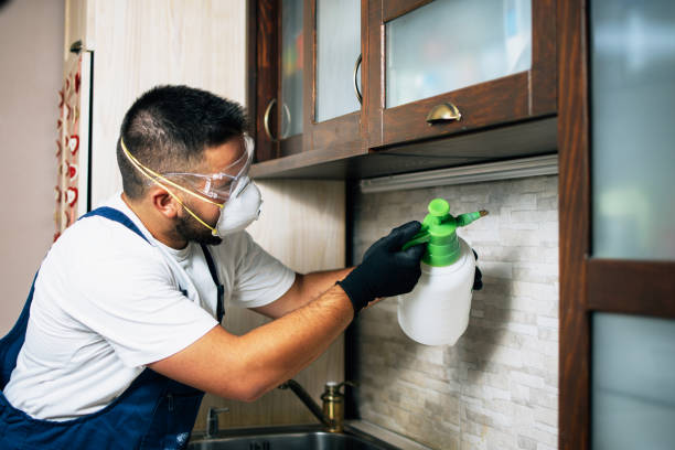  Haslett, MI Pest Control Pros