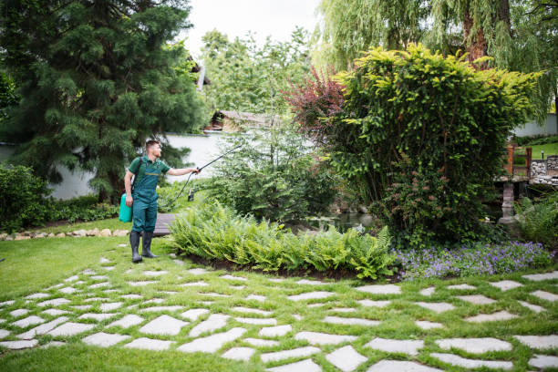 Best Local Pest Control Services  in Haslett, MI